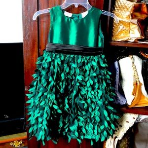 “Gorgeous Little Girl Dress” never worn.